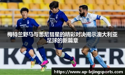 乐竞体育官网